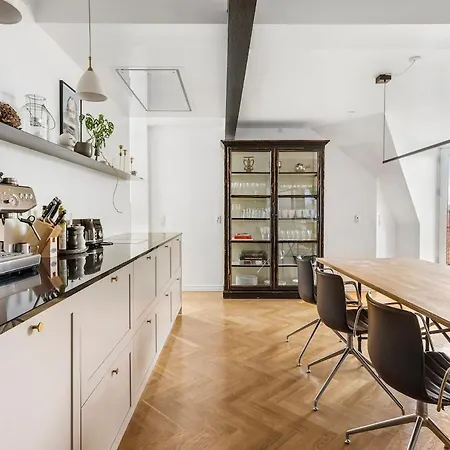 Daire Elegant Penthouse With Rooftop Terrace In Cph Kopenhag