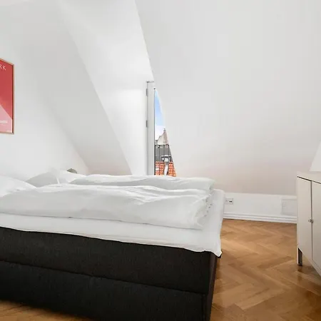 Daire Elegant Penthouse With Rooftop Terrace In Cph *